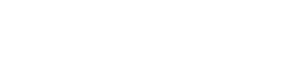 上海仲泉国际货运代理有限公司
